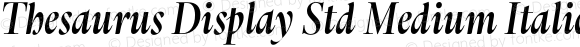 Thesaurus Display Std Medium Italic