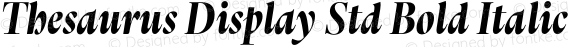 Thesaurus Display Std Bold Italic