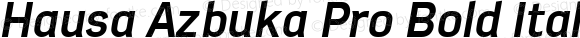 Hausa Azbuka Pro Bold Italic