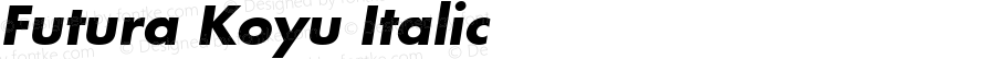 Futura Koyu Italic
