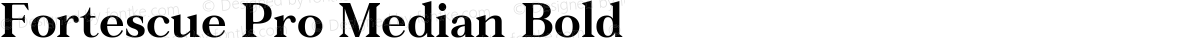 Fortescue Pro Median Bold