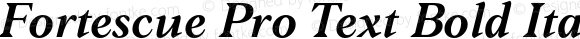 Fortescue Pro Text Bold Italic