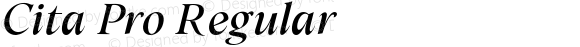 Cita W05 Italic