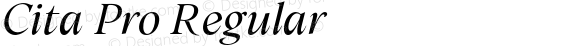 Cita W05 Light Italic