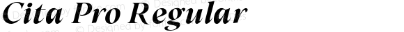 Cita W05 Semi Bold Italic