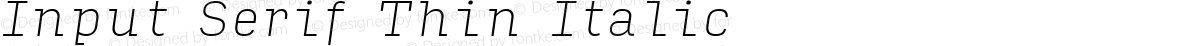 Input Serif Thin Italic