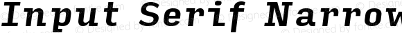 Input Serif Narrow Bold Italic