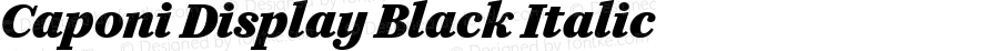 Caponi Display Black Italic