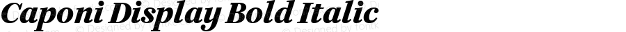 Caponi Display Bold Italic