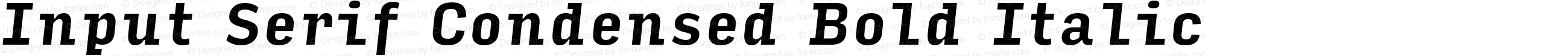 Input Serif Condensed Bold Italic