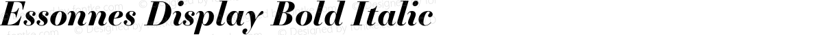 Essonnes Display Bold Italic