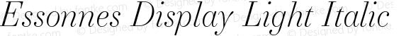 Essonnes Display Light Italic