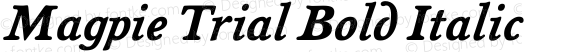 Magpie Trial Bold Italic