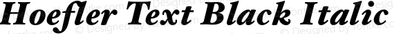 Hoefler Text Black Italic