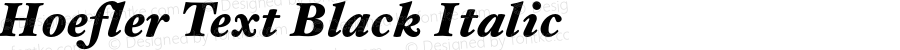 Hoefler Text Black Italic