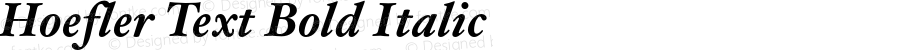 Hoefler Text Bold Italic