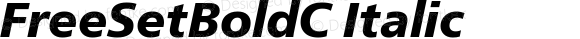 FreeSetBoldC Italic