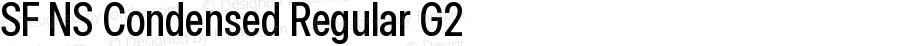 SF NS Condensed Regular G2