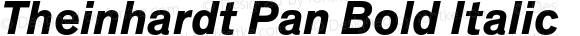 Theinhardt Pan Bold Italic