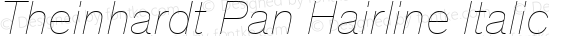 Theinhardt Pan Hairline Italic