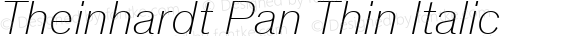 Theinhardt Pan Thin Italic