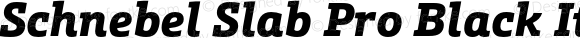 Schnebel Slab Pro Black Italic