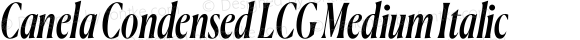 Canela Condensed LCG Medium Italic