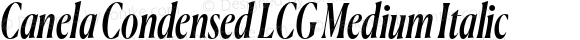 Canela Condensed LCG Medium Italic