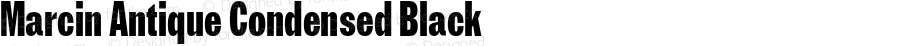 Marcin Antique Condensed Black