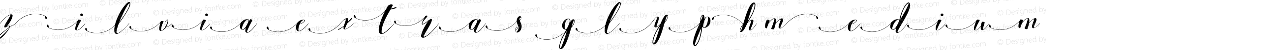 Zilvia extras glyph Medium