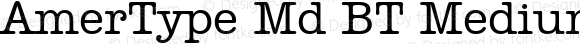 AmerType Md BT Medium mfgpctt-v1.53 Friday, January 29, 1993 11:59:39 am (EST)