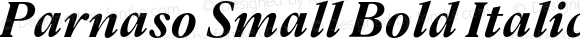 Parnaso Small Bold Italic