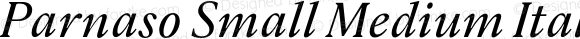 Parnaso Small Medium Italic