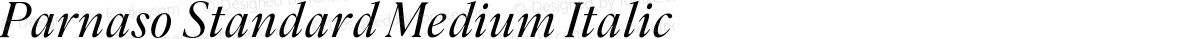 Parnaso Standard Medium Italic