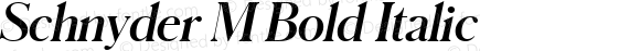 Schnyder M Bold Italic