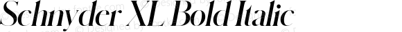 Schnyder XL Bold Italic