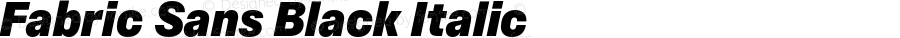 FabricSans-BlackItalic