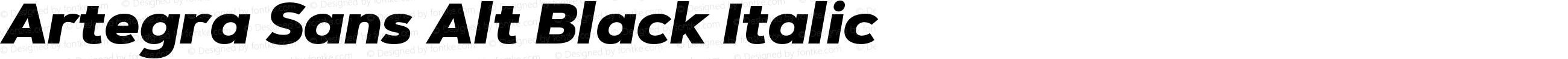 ArtegraSansAlt-BlackItalic