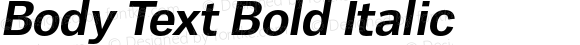 Body Text Bold Italic