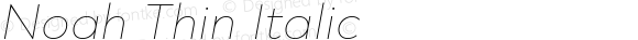 Noah Thin Italic