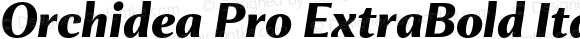 Orchidea Pro ExtraBold Italic