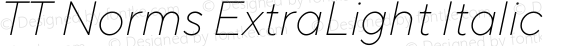 TT Norms ExtraLight Italic