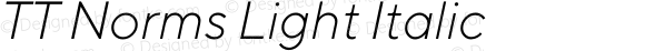 TT Norms Light Italic