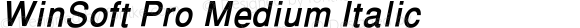 WinSoft Pro Medium Italic