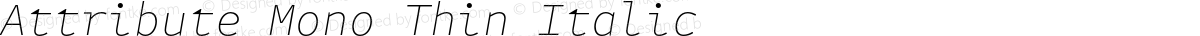 Attribute Mono Thin Italic