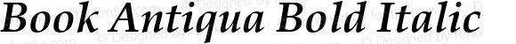 Book Antiqua Bold Italic