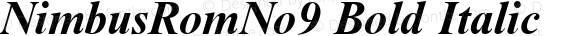 NimbusRomNo9 Bold Italic