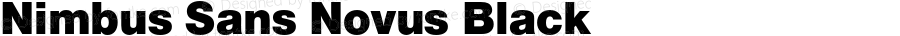 Nimbus Sans Novus Black Version 1.000;PS 1.00;hotconv 1.0.57;makeotf.lib2.0.21895