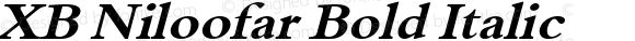 XB Niloofar Bold Italic