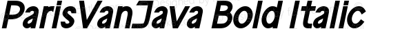 ParisVanJava Bold Italic